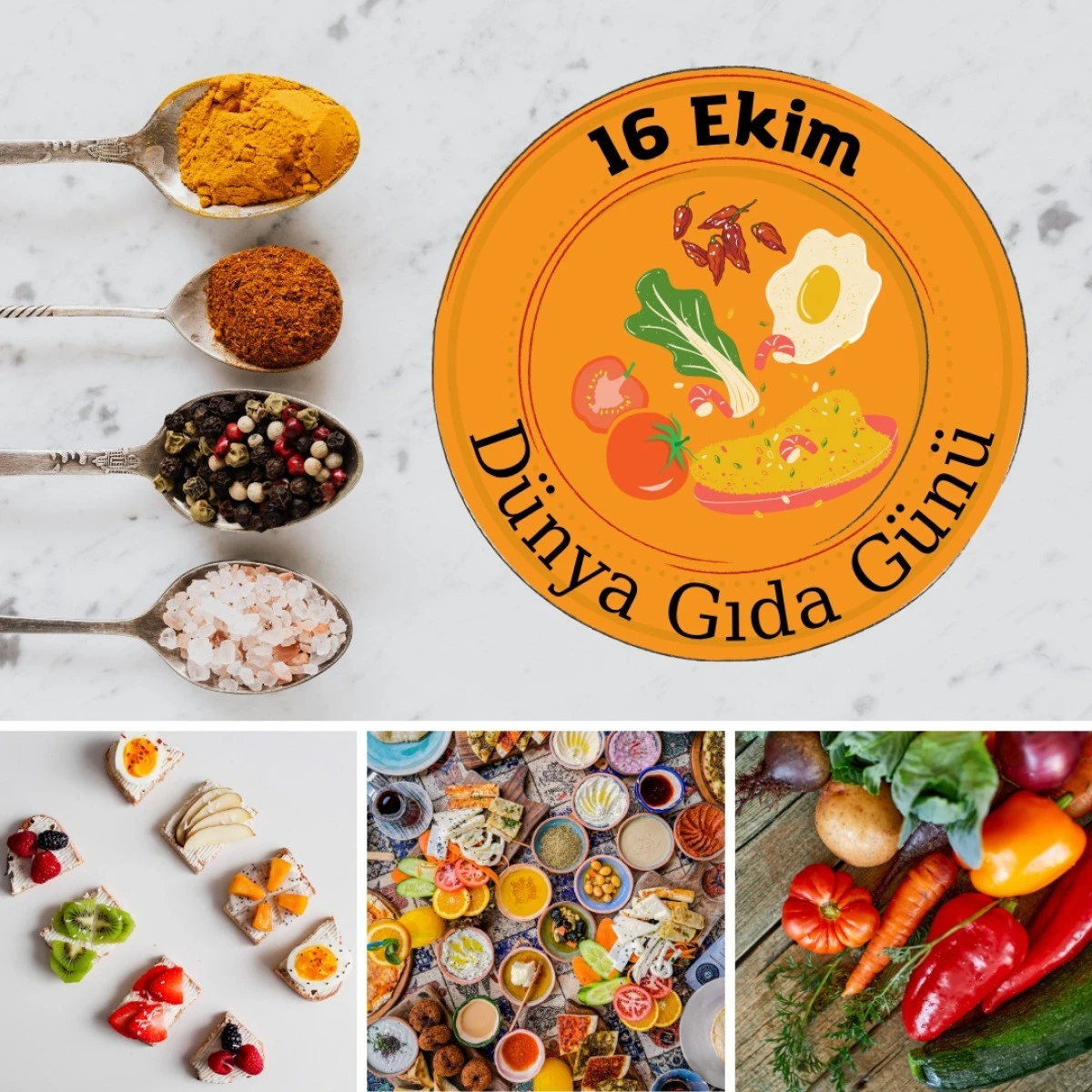 “733 milyon insan  açlıkla mücadele ediyor”