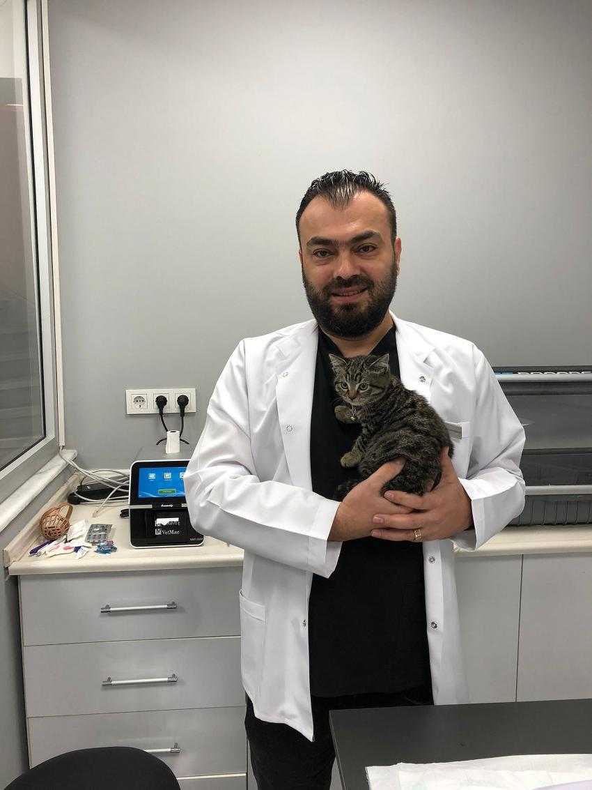 Evcil Hayvanlarda Yüksekten Düşme ile Çok Sık Karşılaşılıyor