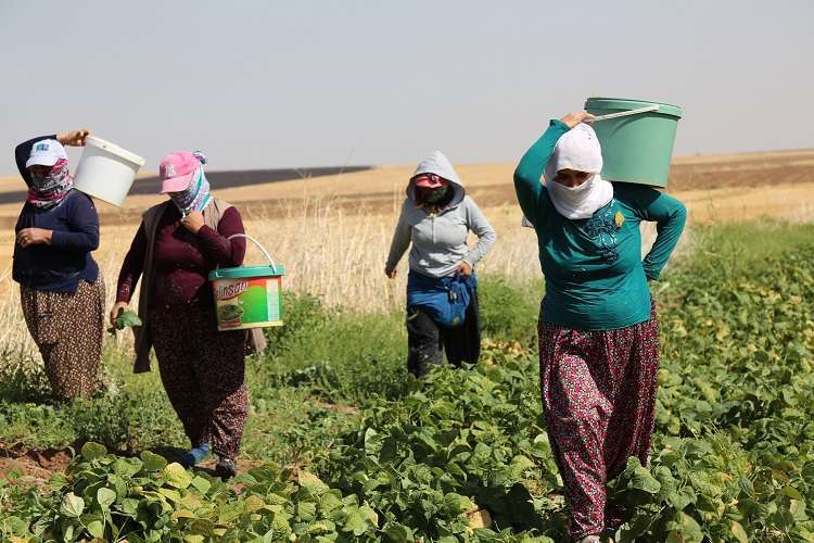 8 MART DÜNYA EMEKÇİ KADINLAR  GÜNÜ’NDE DÜŞÜNDÜREN TABLO