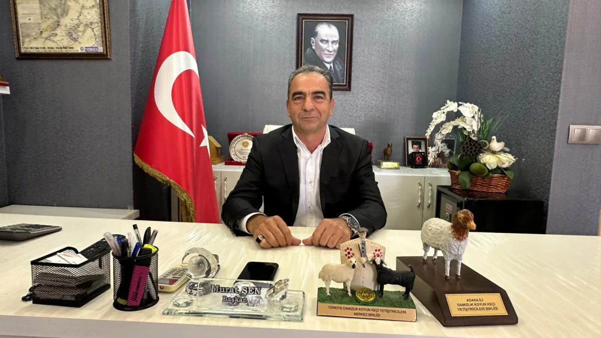 Adana&rsquo;da kurbanlık  fiyatları belirlendi