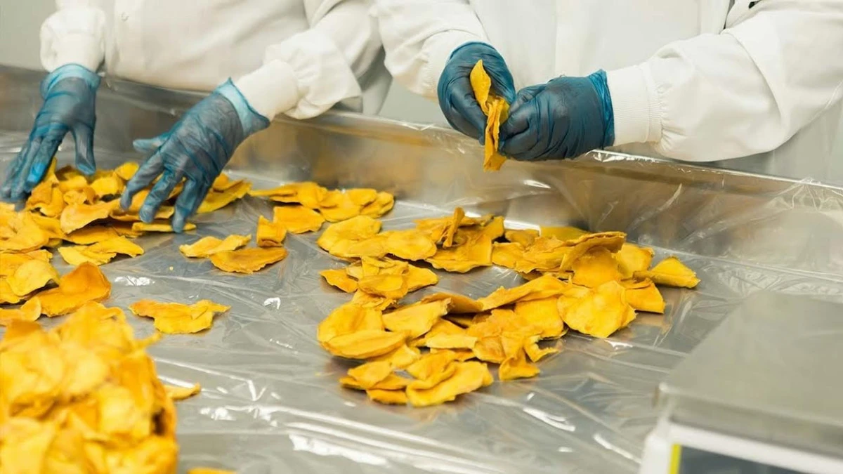 Adana&rsquo;daki KOBİ&rsquo;lere  geri &ouml;demesiz destek