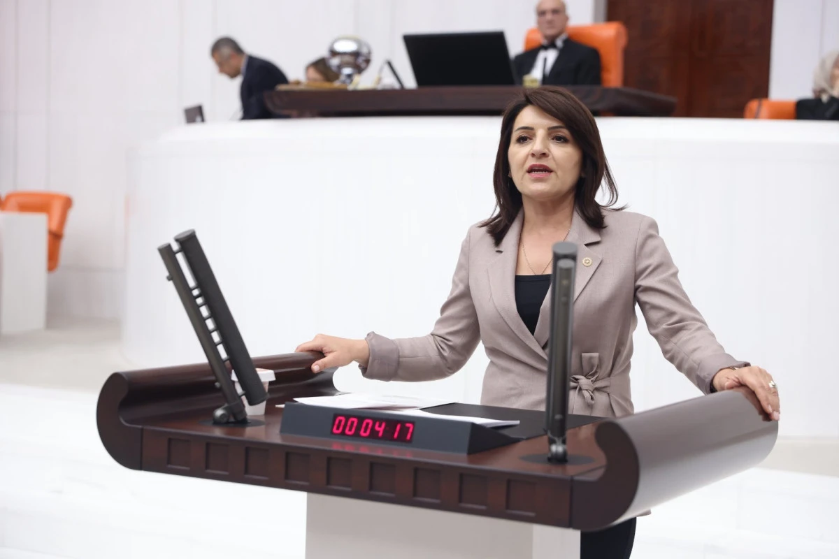 CHP&rsquo;li G&uuml;lcan Kış: &ldquo;TOKİ, Dar Gelirlinin Umudu Olmaktan Uzaklaştı&rdquo;