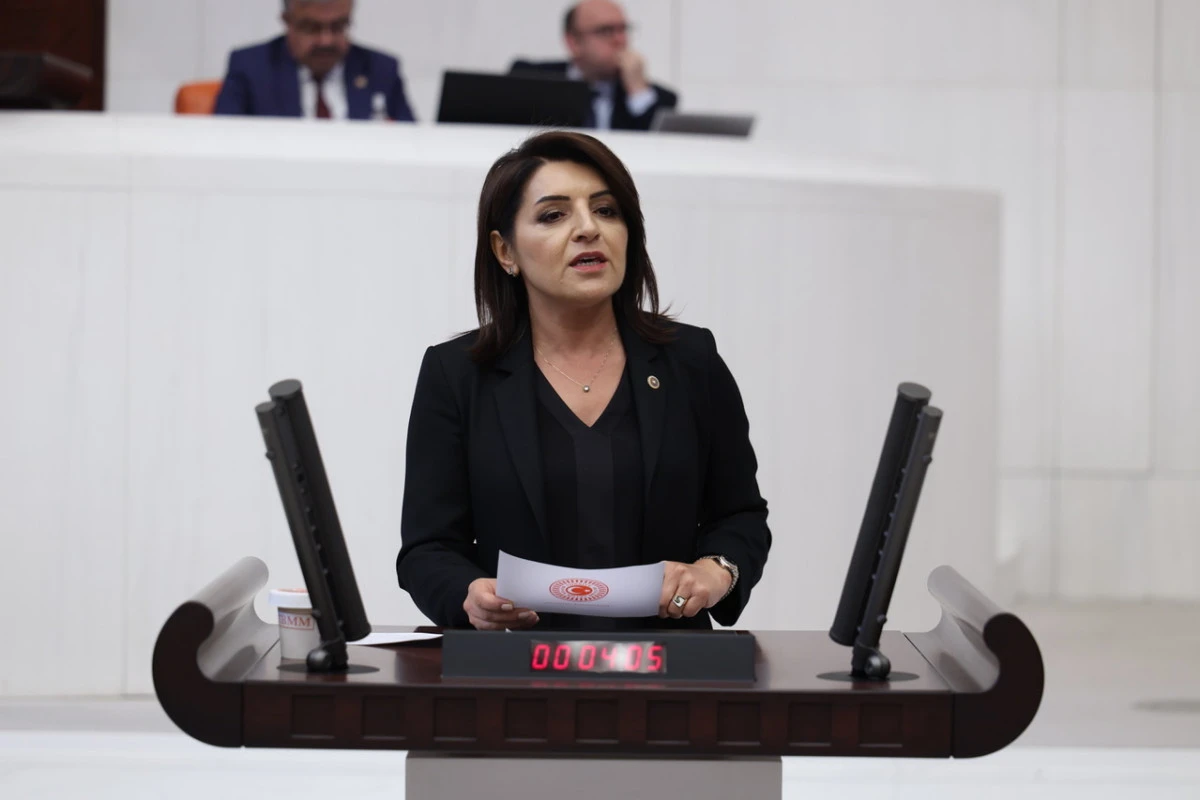 CHP&rsquo;li Kış: &ldquo;Bu kriz 28 Ağustos&rsquo;ta başlamadı&rdquo;