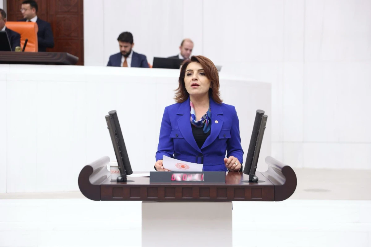 CHP’li Kış: “Saray’da kaç kişi çalışıyor?”