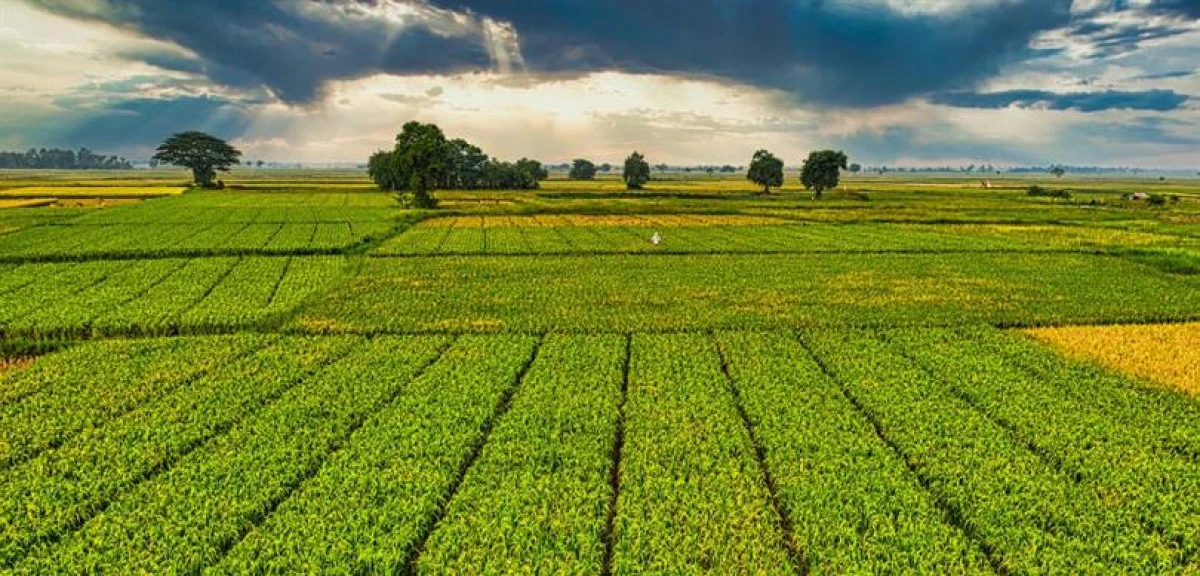 Çiftçilere 1,46 milyar  lira destekleme ödemesi