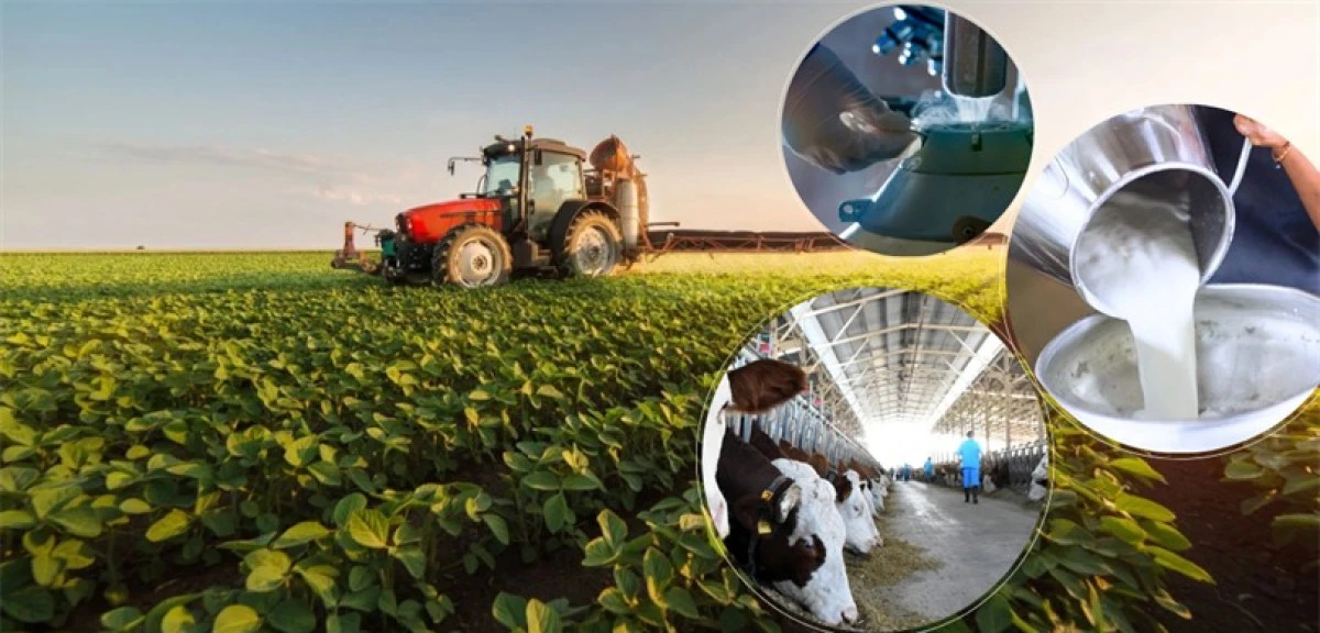 Destekleme &ouml;demesi hesaplara yatırılıyor