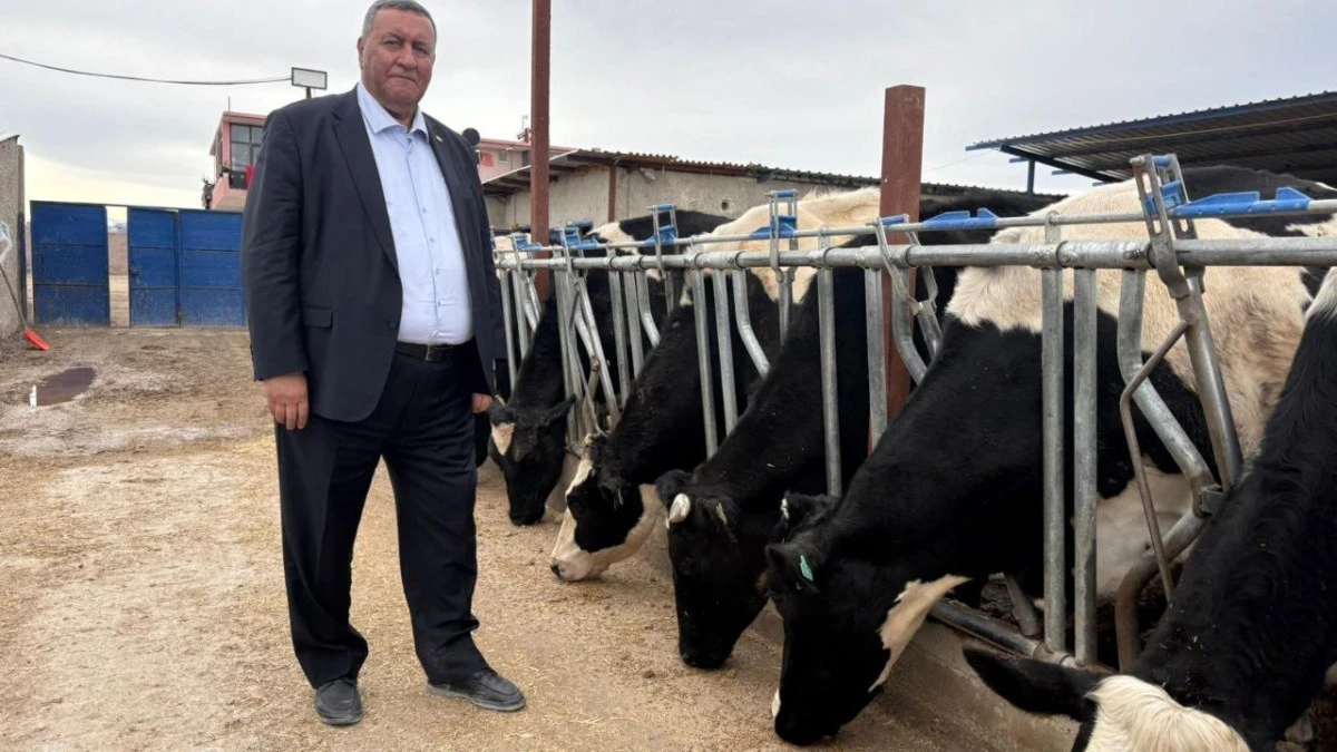 G&uuml;rer: &ldquo;Daha az et, daha fazla d&ouml;viz&rdquo;