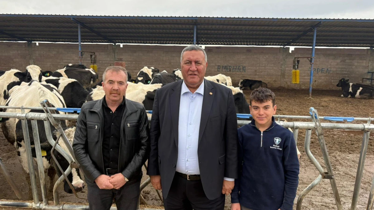 G&uuml;rer, hayvan  varlığını sorguladı