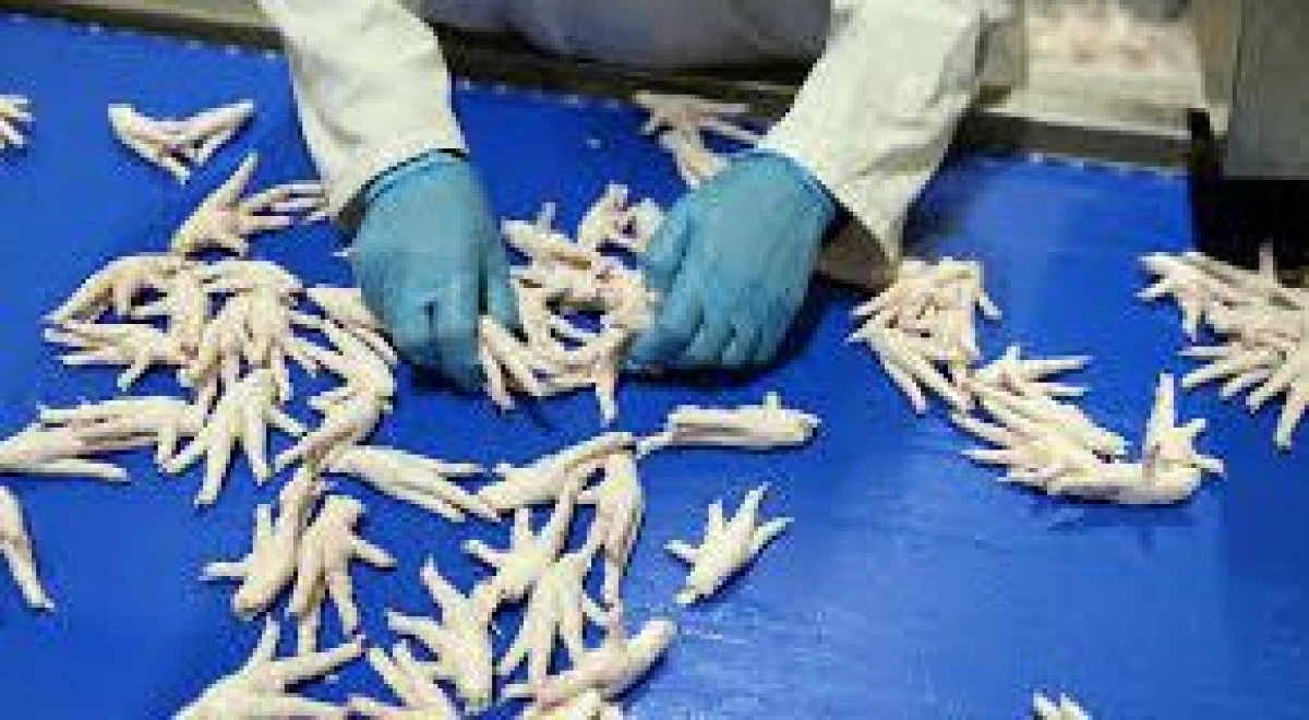 Kanatlı sektörü, Çin’e tavuk ayağı ihracat izninin çıkmasını istiyor