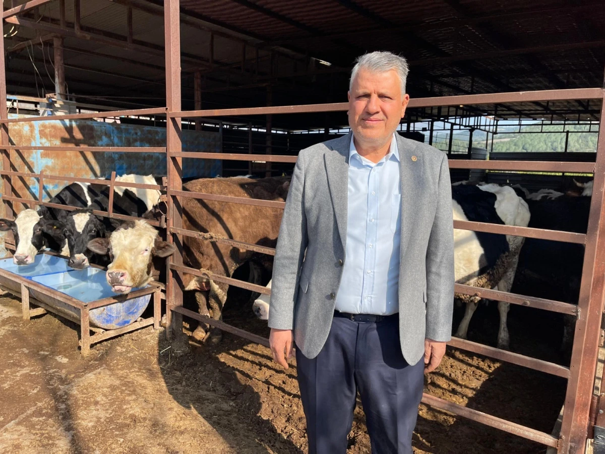 &ldquo;Kırmızı ette kriz b&uuml;y&uuml;d&uuml;&rdquo;