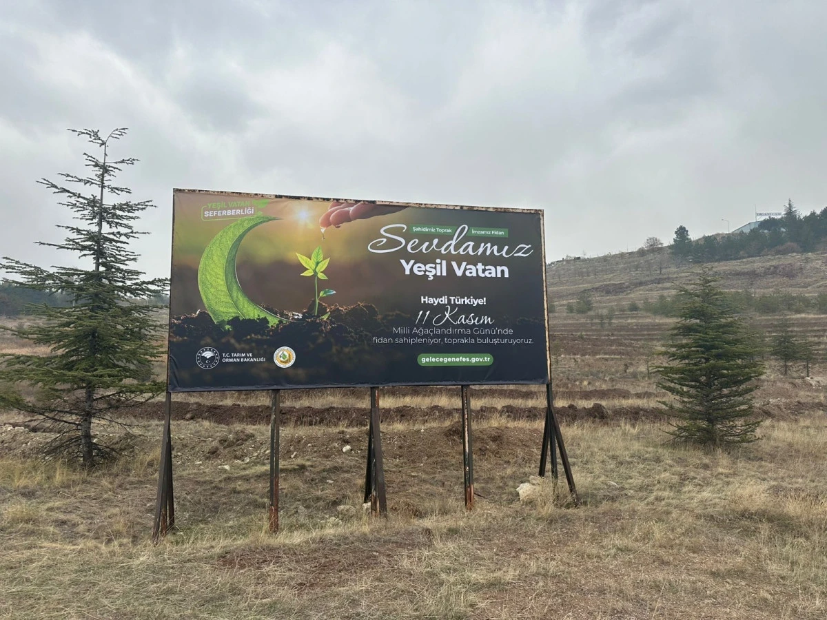 Milyonlarca fidan toprakla buluşuyor