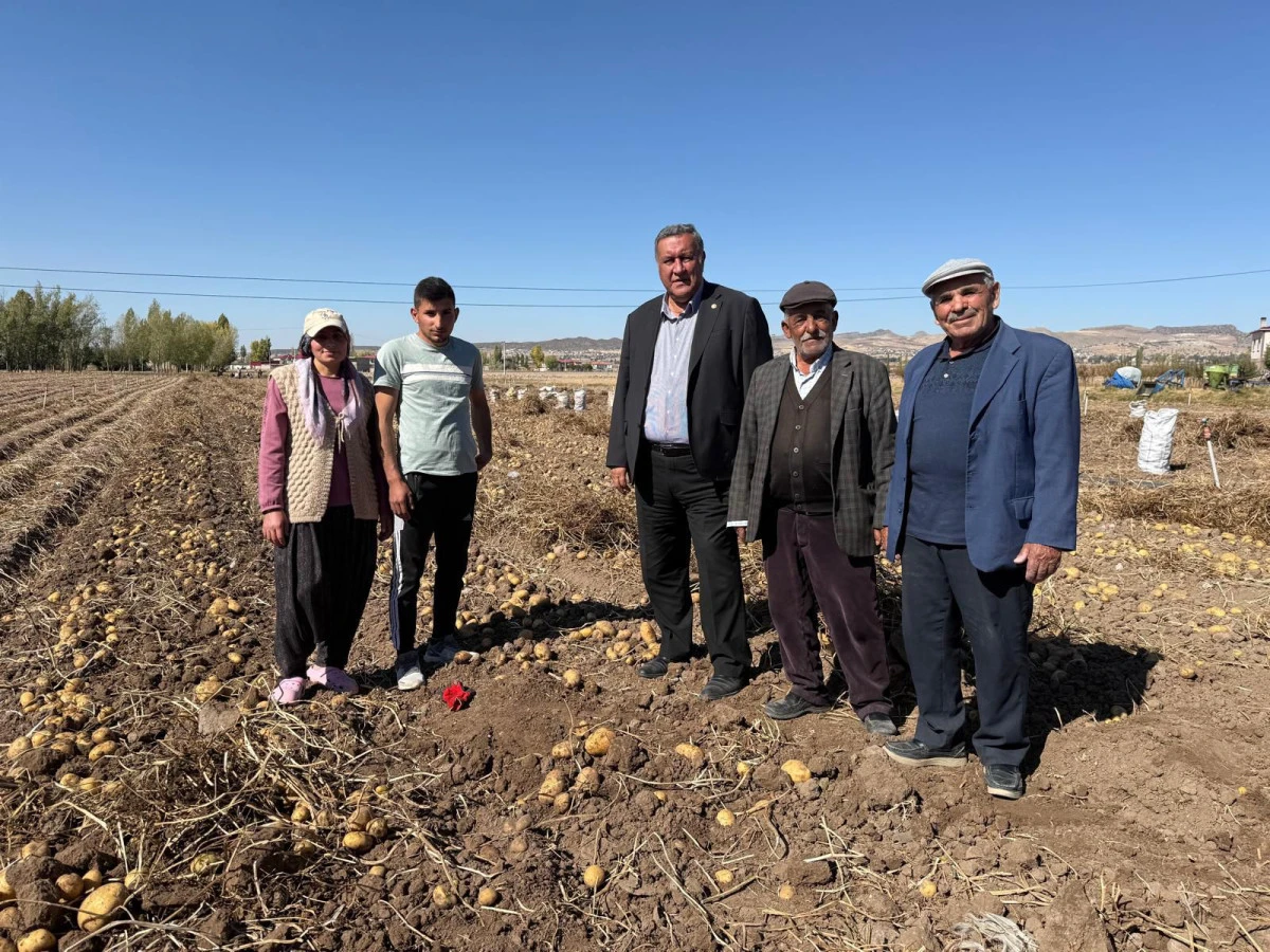 “Patates çiftçisi üretimden soğuyor”