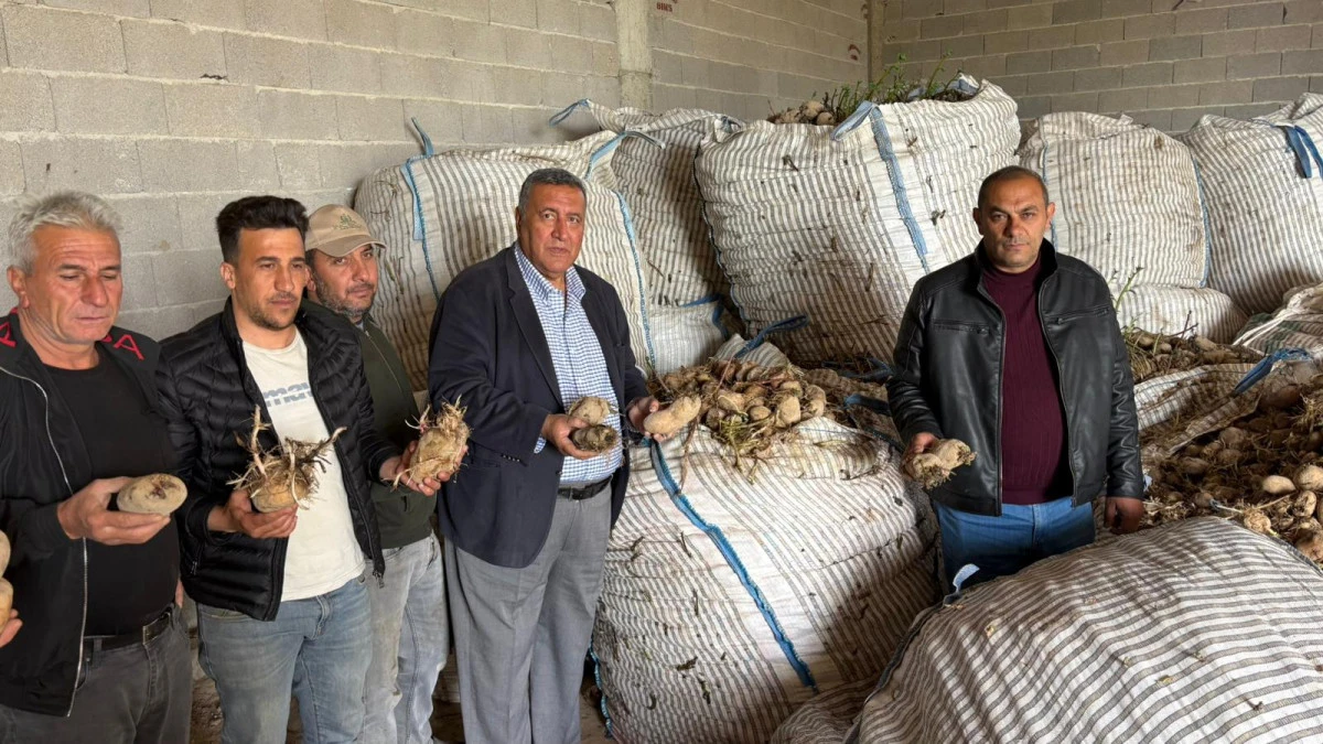 Patates yine depoda kaldı