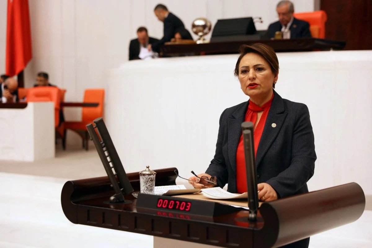 Şevkin: &ldquo;Ekonomik sıkıntılar giderilmiyor&rdquo;