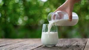 Süt üretimi yüzde 13,1 arttı