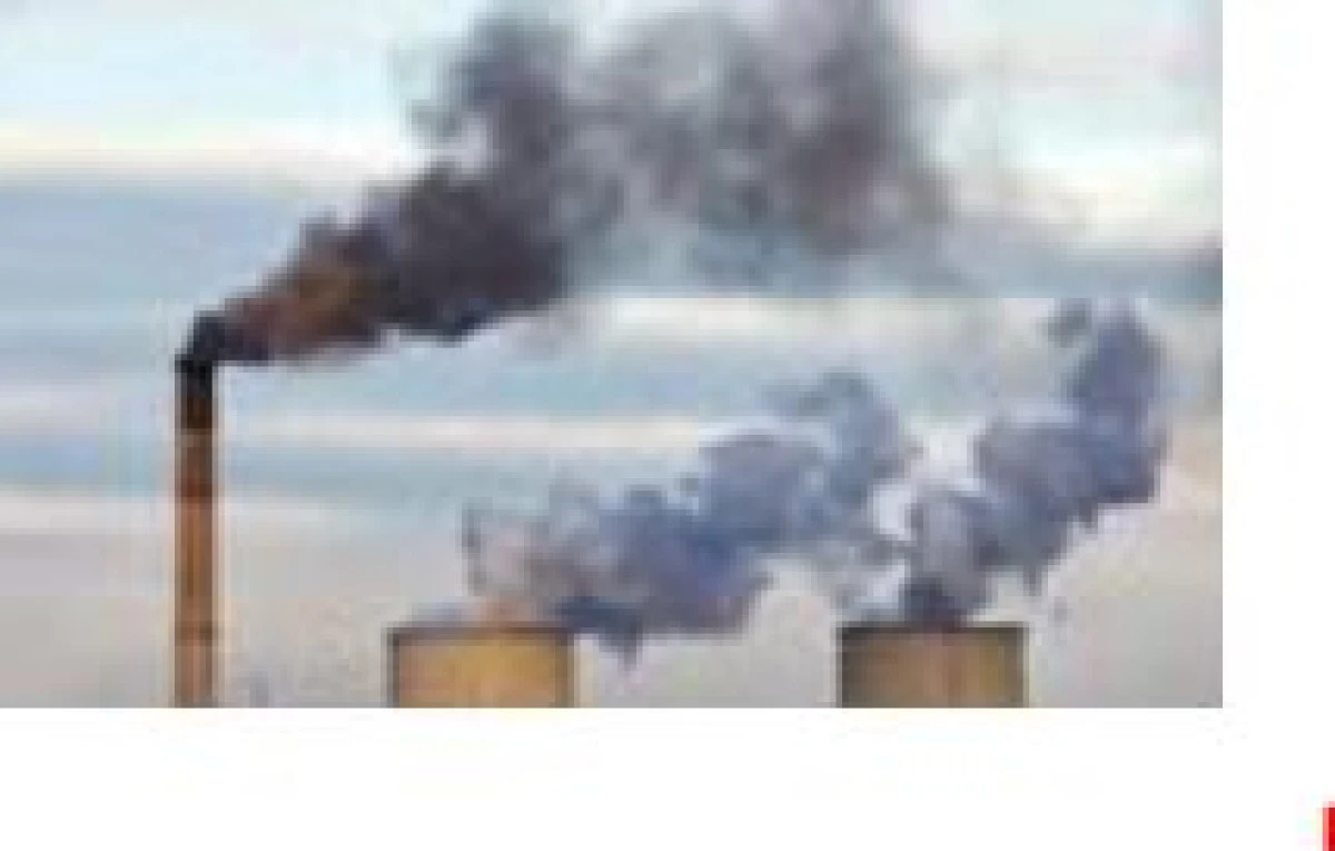 TEMA Vakfı: COP30 Çözüm Değil, Erteleme Üretti 