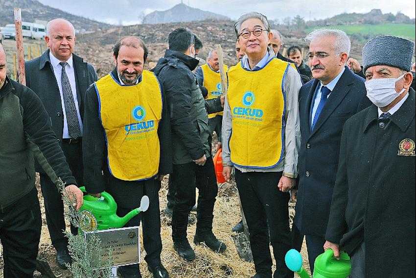 Türkiye - Kore dostluğu 580 bin fidanla kökleşti