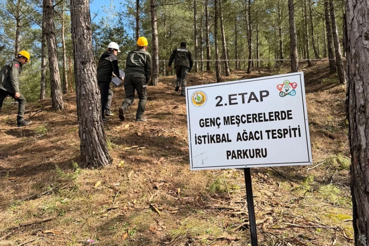 T&uuml;rkiye Ormancılık Yarışmaları başladı