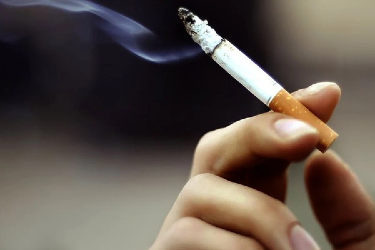 T&uuml;rkiye&rsquo;de t&uuml;t&uuml;n kullanımı artıyor