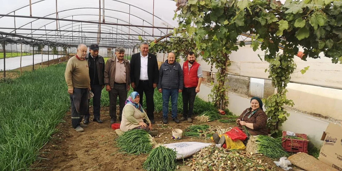 Üretici kazanamıyor tüketici alamıyor