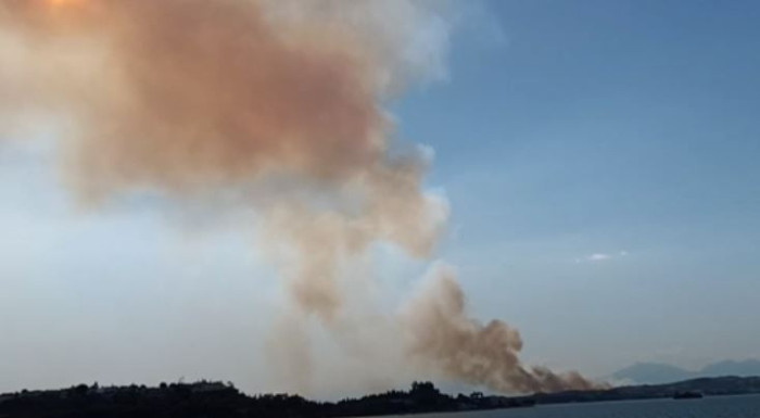 Adana'nın Çukurova İlçesinde orman yangını çıktı